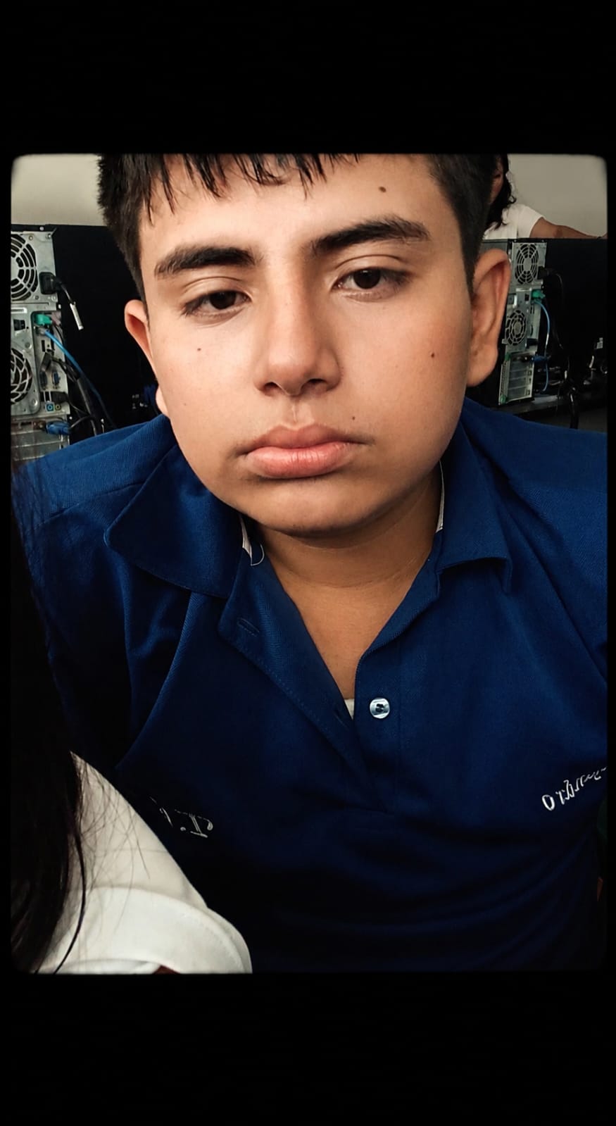 desarrollador_e_integrador